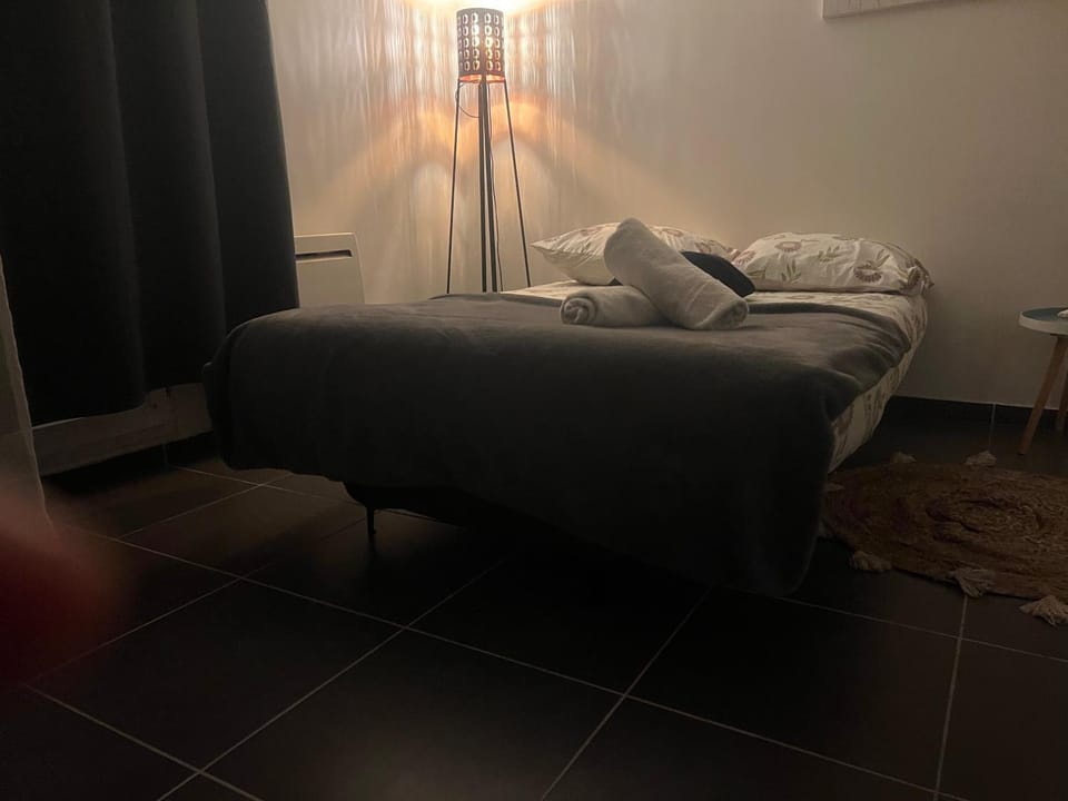 Studio Hanoï charpenne Apartment in Villeurbanne