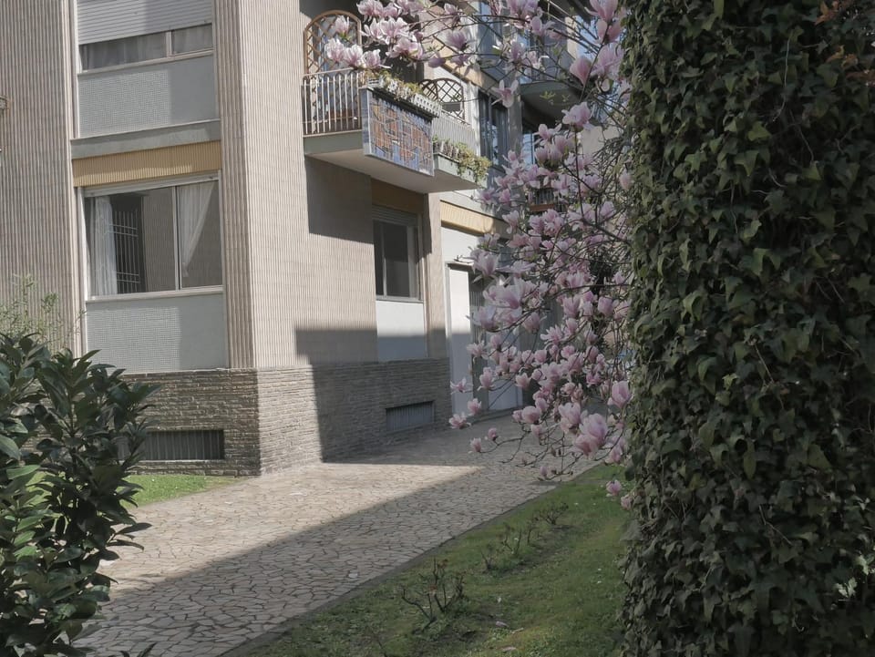 Property building, Children play ground