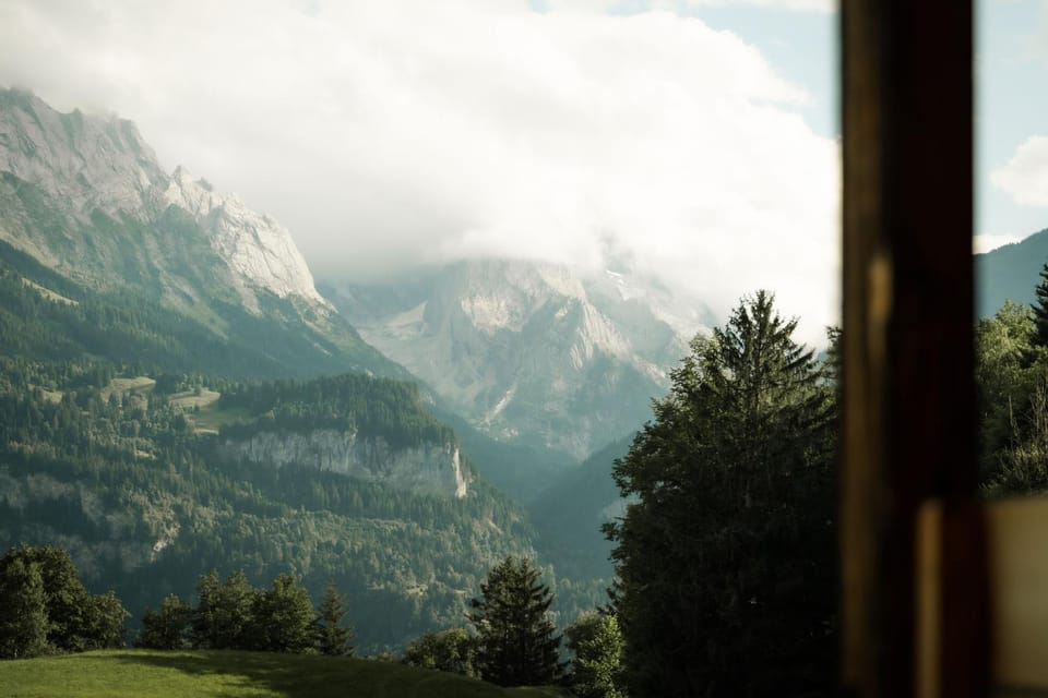 View (from property/room)