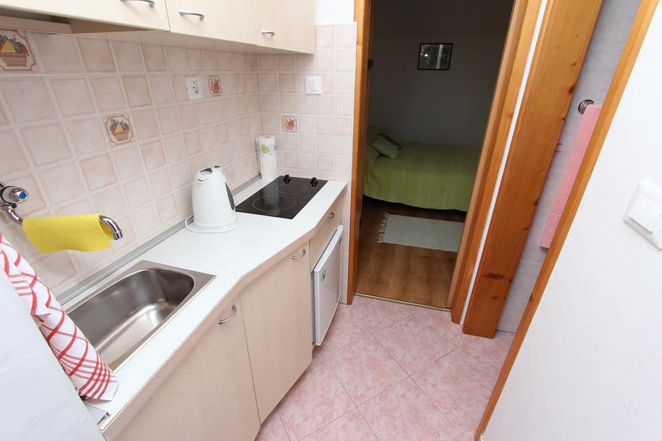 Studio-Apartment im mediterranem Steinhaus und grosser Terrasse Apartment in Rovinj