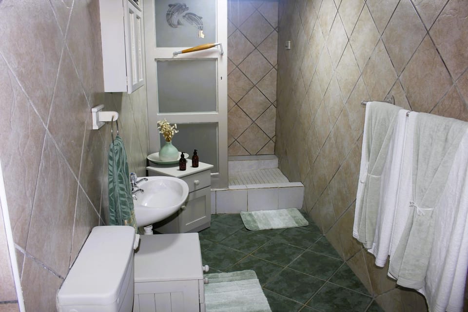Shower, Toilet, towels