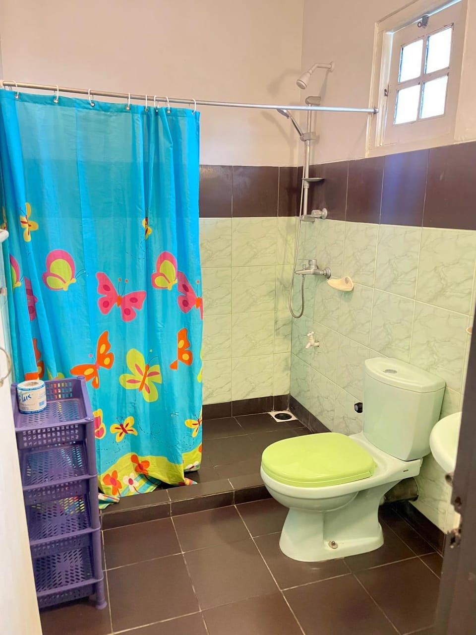 Shower, Toilet, Bathroom, bidet