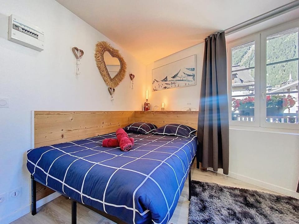 Petit STUDIO STAR CHAMONIX HYPER CENTRE Apartment in Chamonix