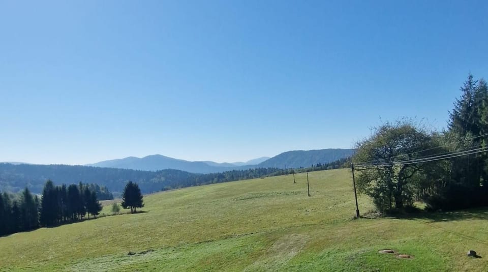 Spring, Mountain view