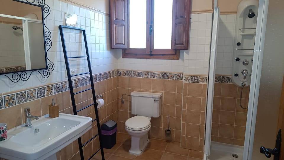 Shower, Toilet, Bathroom, bidet