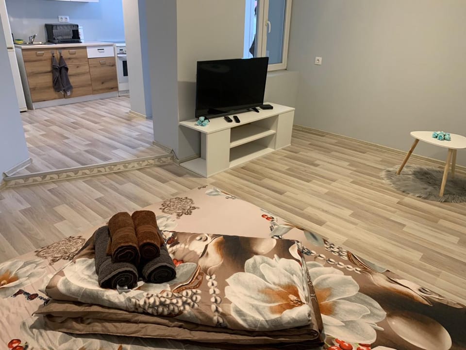 Southern Hill Apartment in Sofia