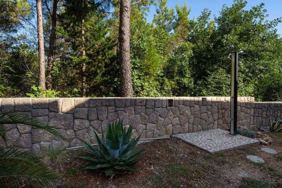 Shower, Garden view