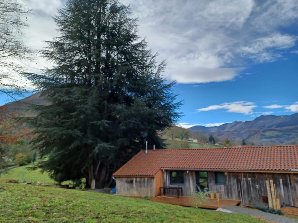 Property building, Garden view, Mountain view