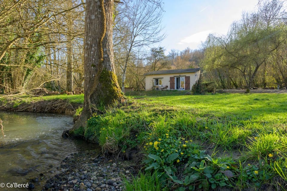 Natural landscape, Garden, Garden view, River view