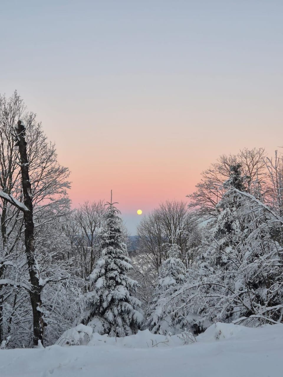Natural landscape, Winter