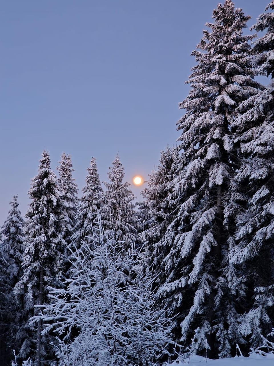 Natural landscape, Winter