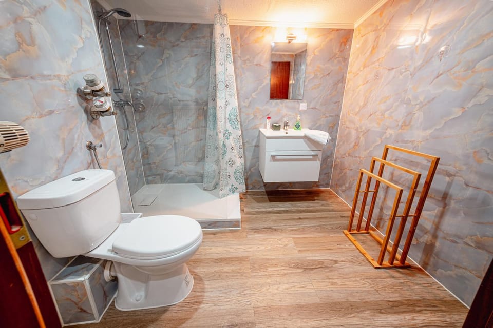 Shower, Toilet, Bathroom, towels