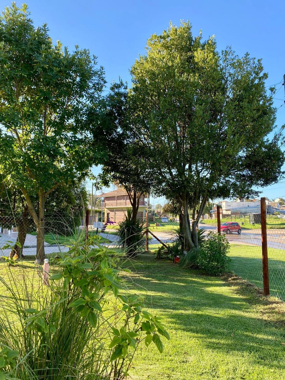 Day, Natural landscape, Garden, Garden view