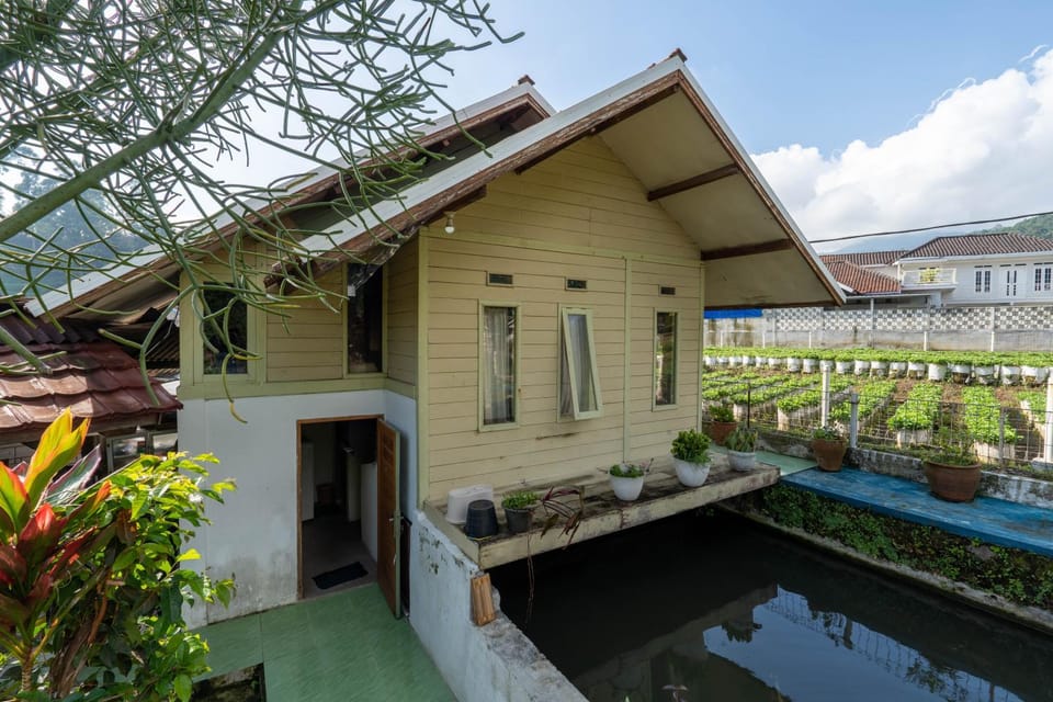 Property building, Day, Pool view