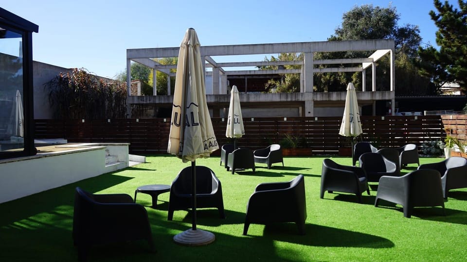 Patio, Garden, Garden view, sunbed