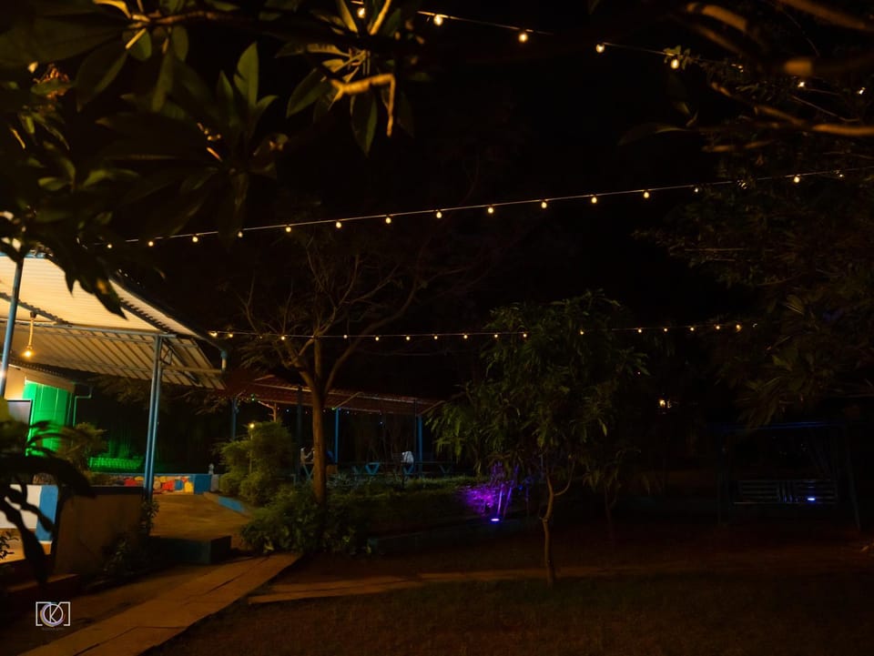 Night, Garden