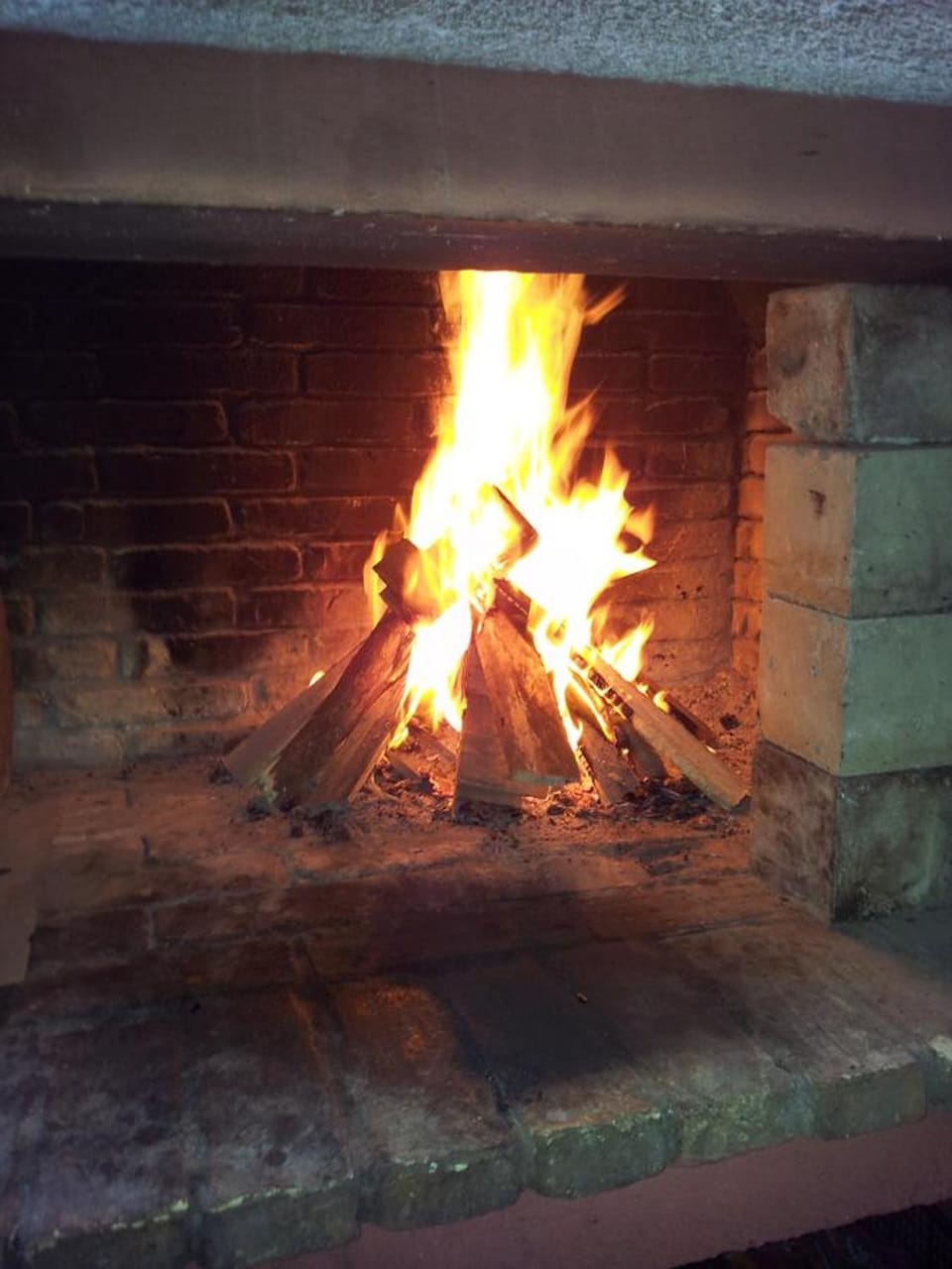 Garden, Balcony/Terrace