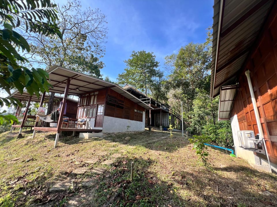 Tiger home stay Phayam House in Ko Phayam