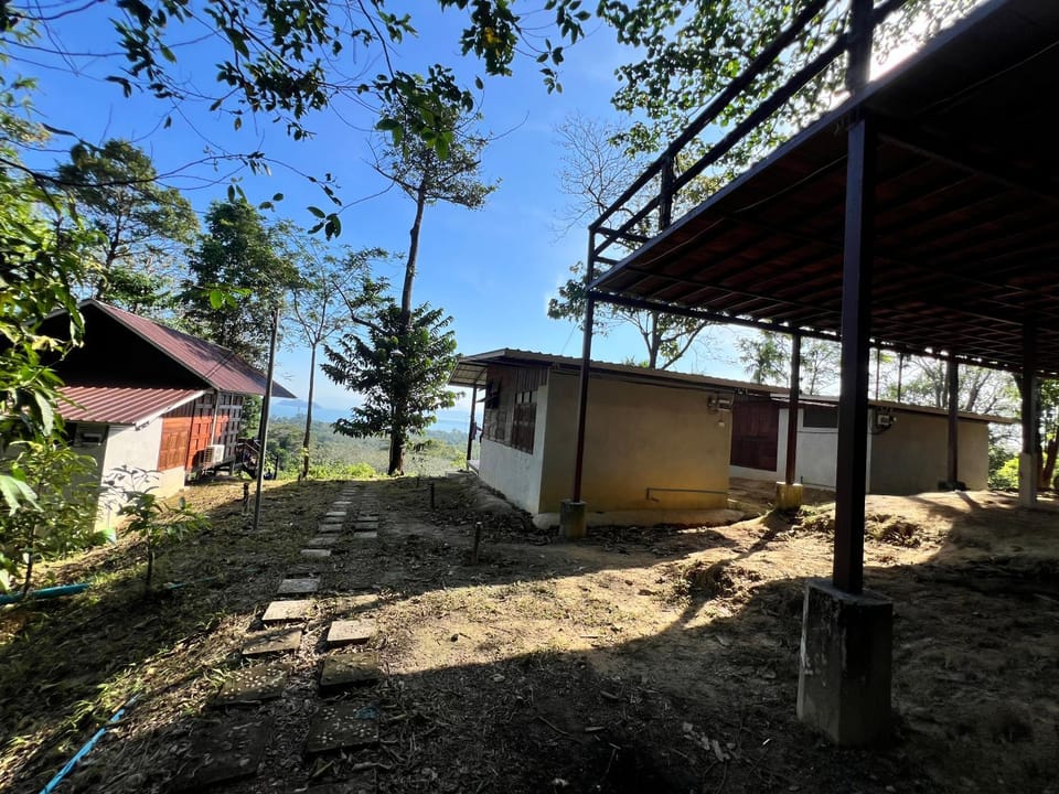 Tiger home stay Phayam House in Ko Phayam