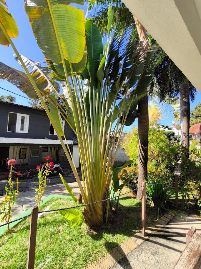 Garden, Garden view