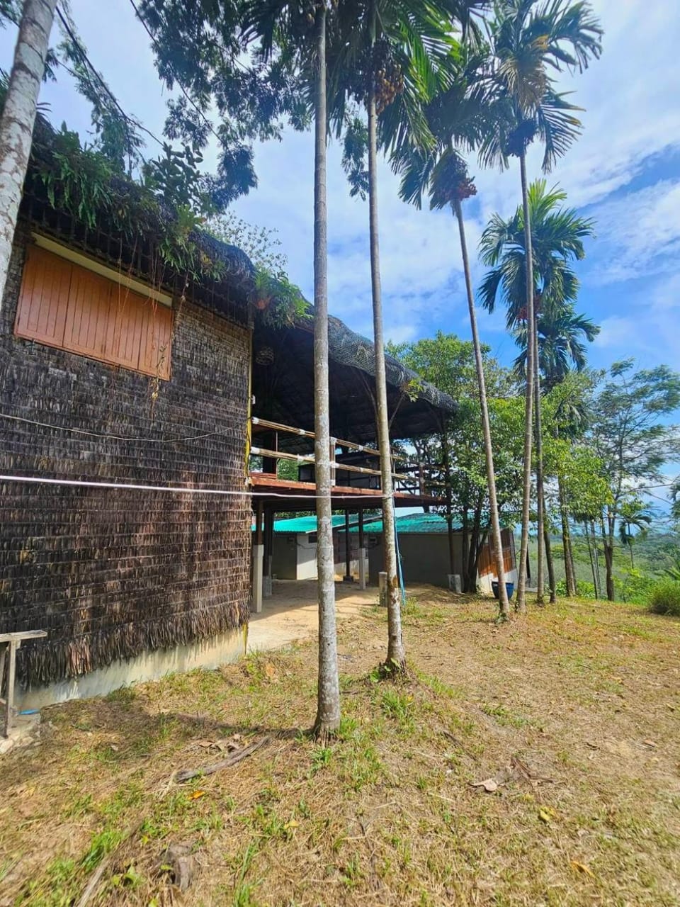 Tiger homestay 2 Phayam House in Ko Phayam