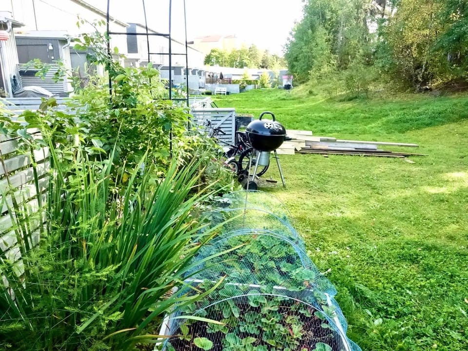 Garden house close to Stockholm city Villa in Stockholm