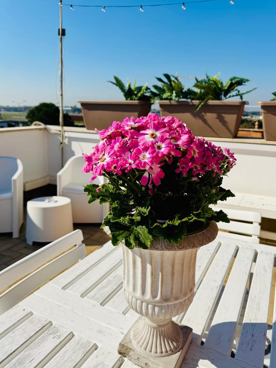 Balcony/Terrace, Decorative detail