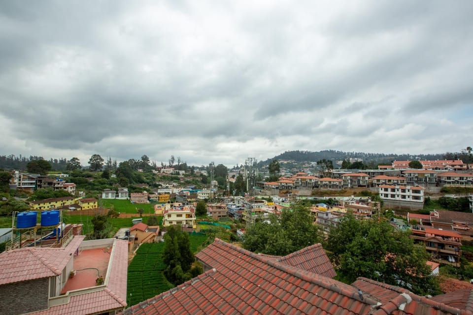 Natural landscape, Bird's eye view, City view, Mountain view, Street view