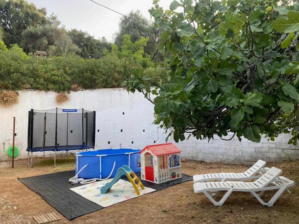 Garden view, Swimming pool, sunbed