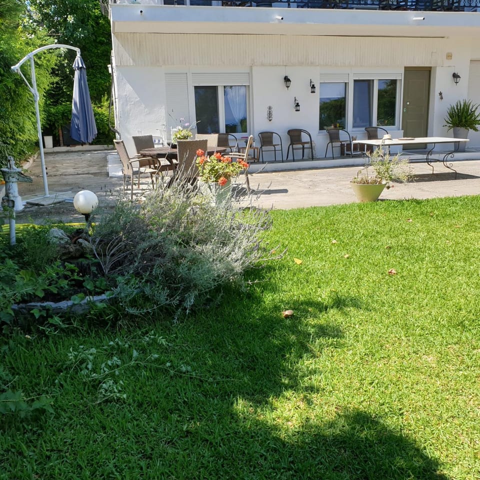 Lily's House-Seafront apartment in Hanioti, Halkidiki House in Halkidiki