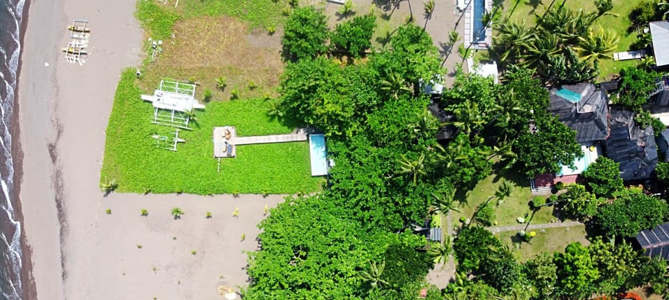 Bird's eye view, Beach, Garden view