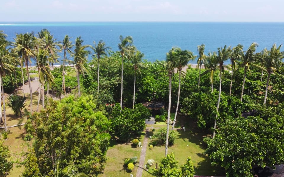Bird's eye view, Garden, Sea view
