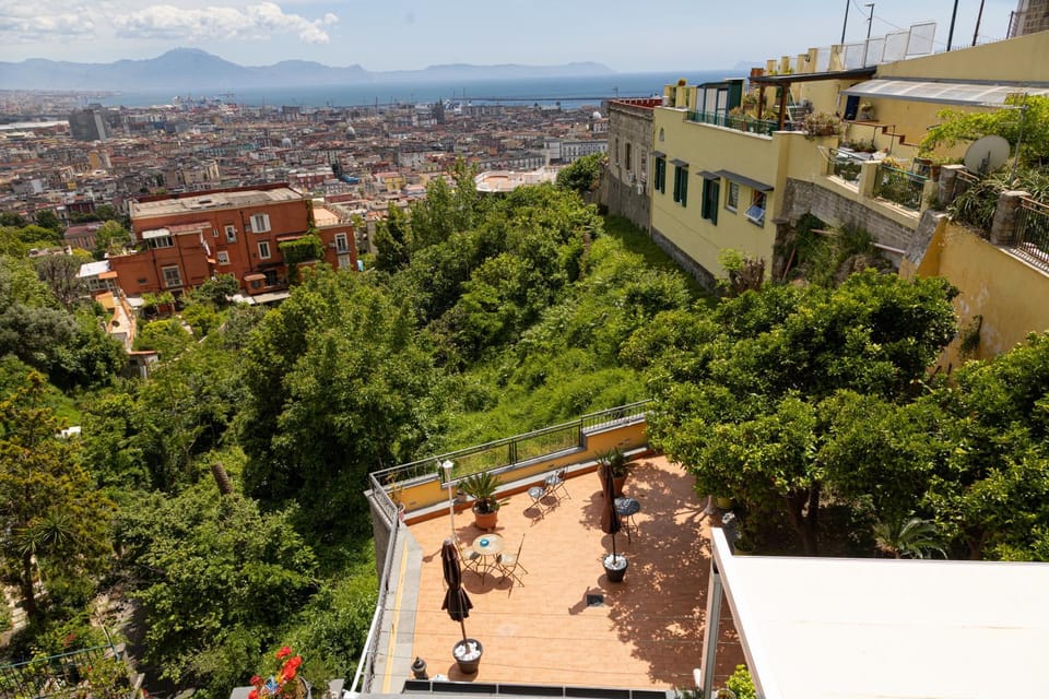 Bird's eye view, City view, Street view