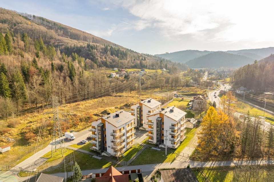 Neighbourhood, Natural landscape, Bird's eye view