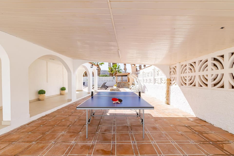 Table tennis, Table tennis