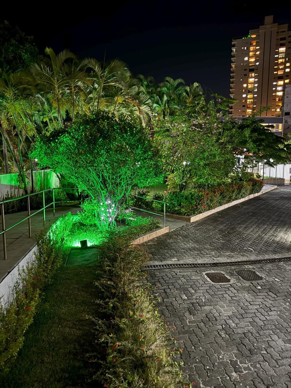 Night, Natural landscape, Children play ground, Garden, Garden, Garden view