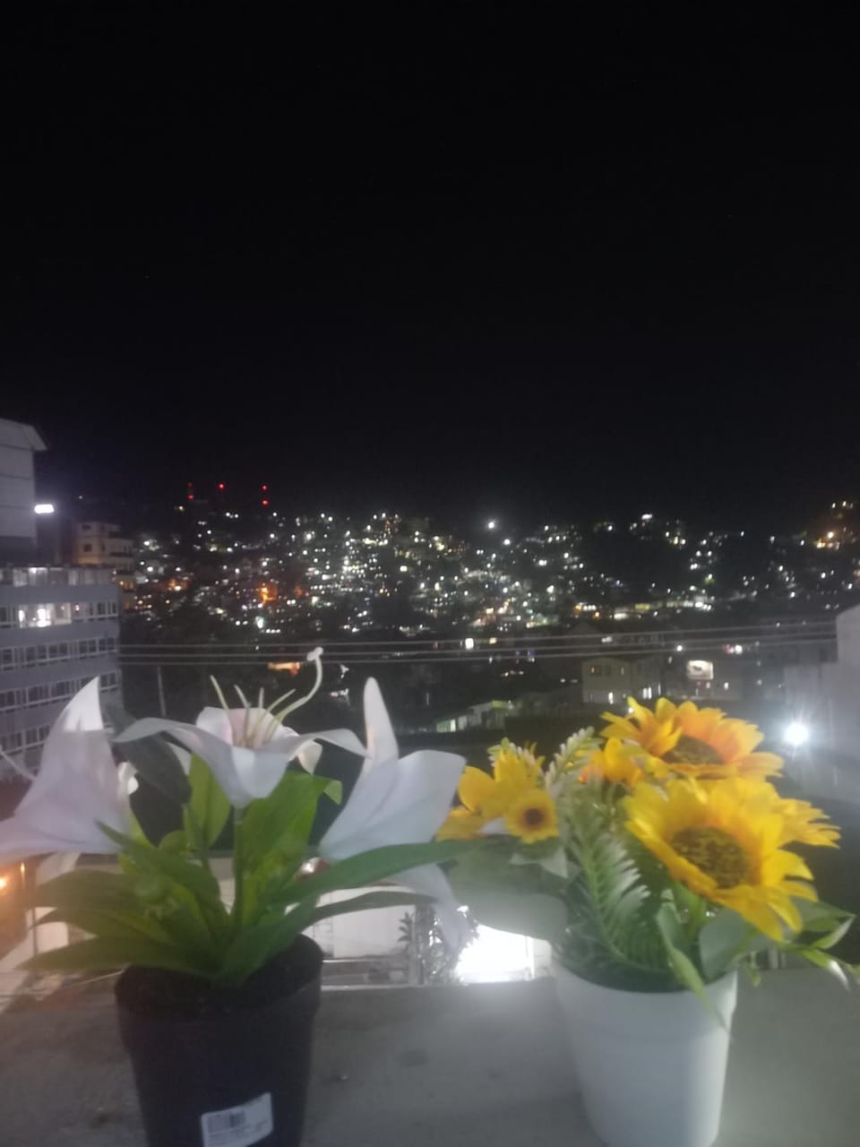Your 3 Bedroom Home at a Perfect Location Apartment in Baguio
