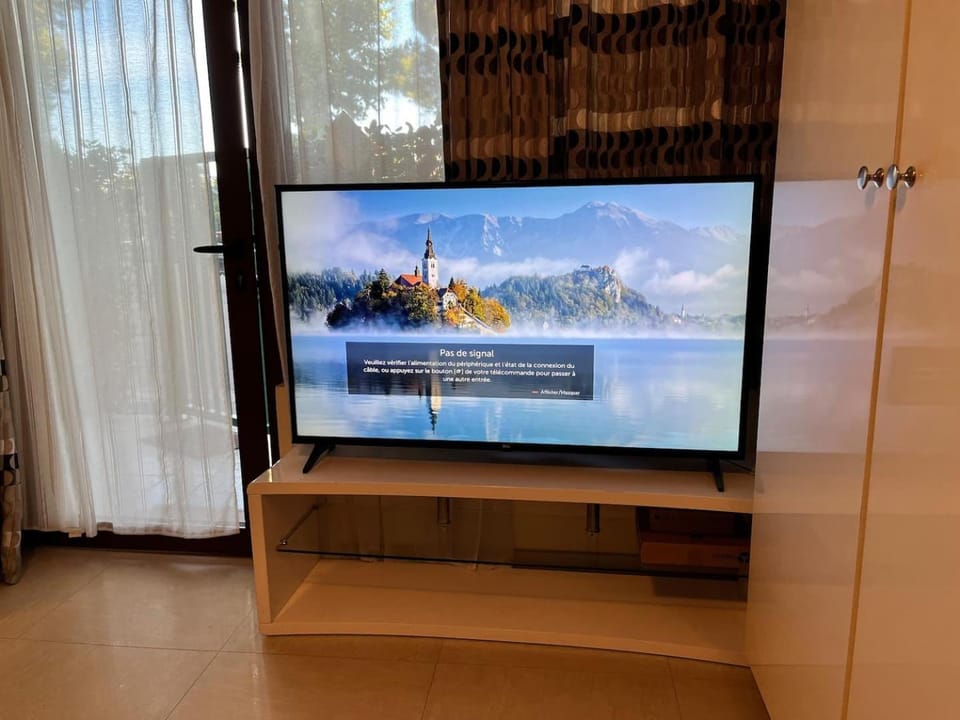 TV and multimedia