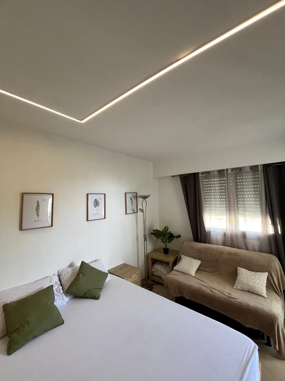 Bed, Living room, Photo of the whole room, Bedroom