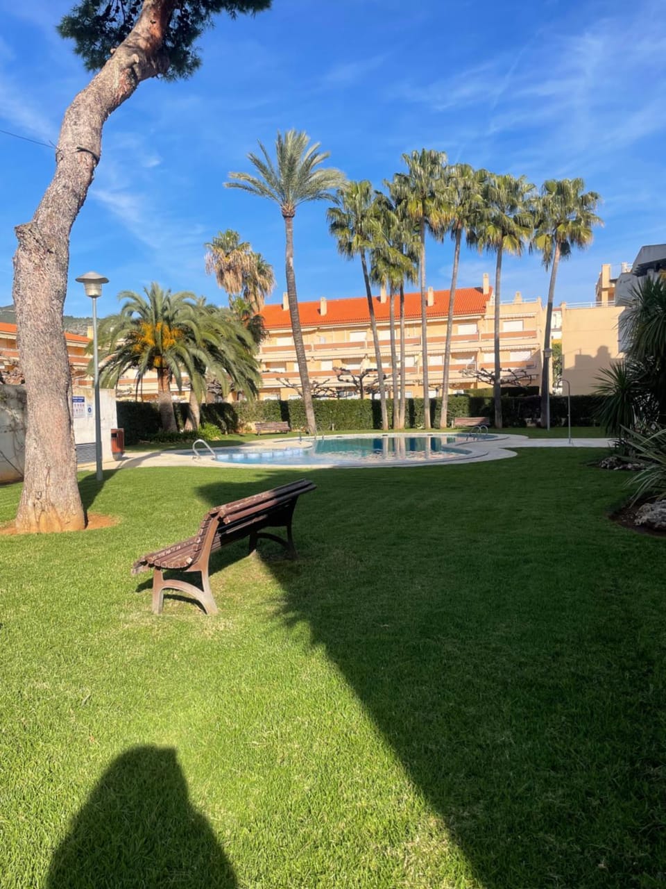 Garden, Swimming pool
