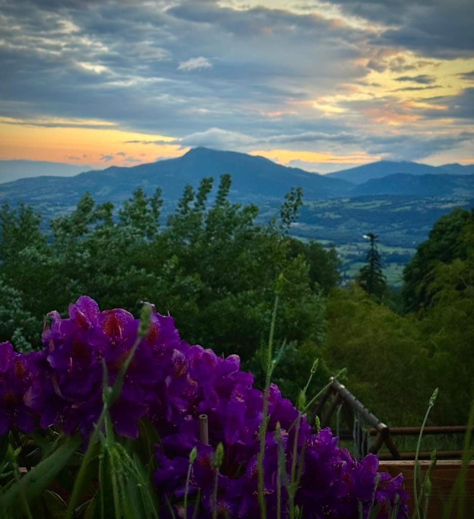 Mountain view, Sunset