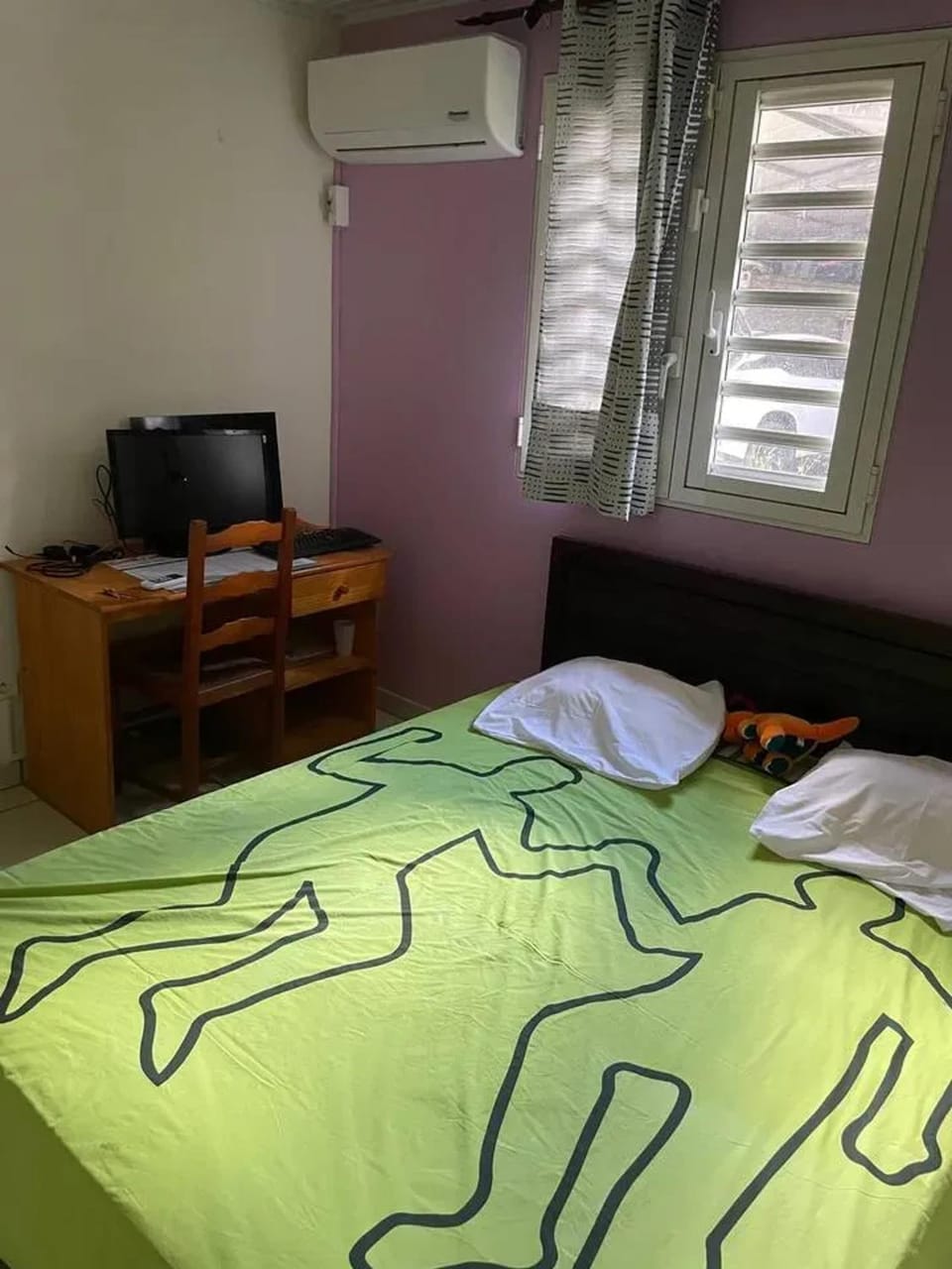 Photo of the whole room