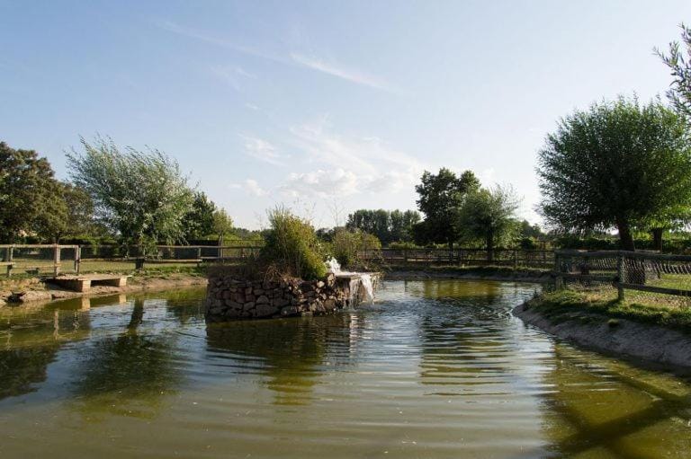 Natural landscape, Lake view