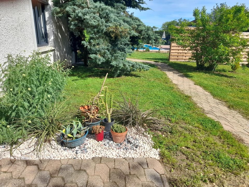 Garden view