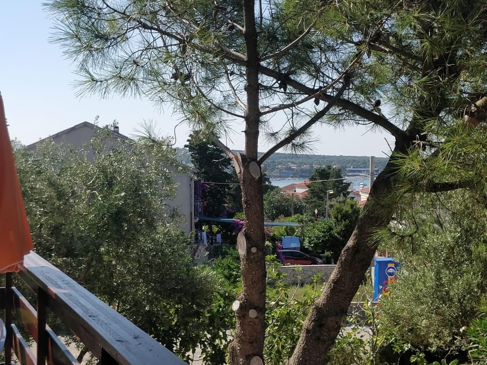 City view, Sea view