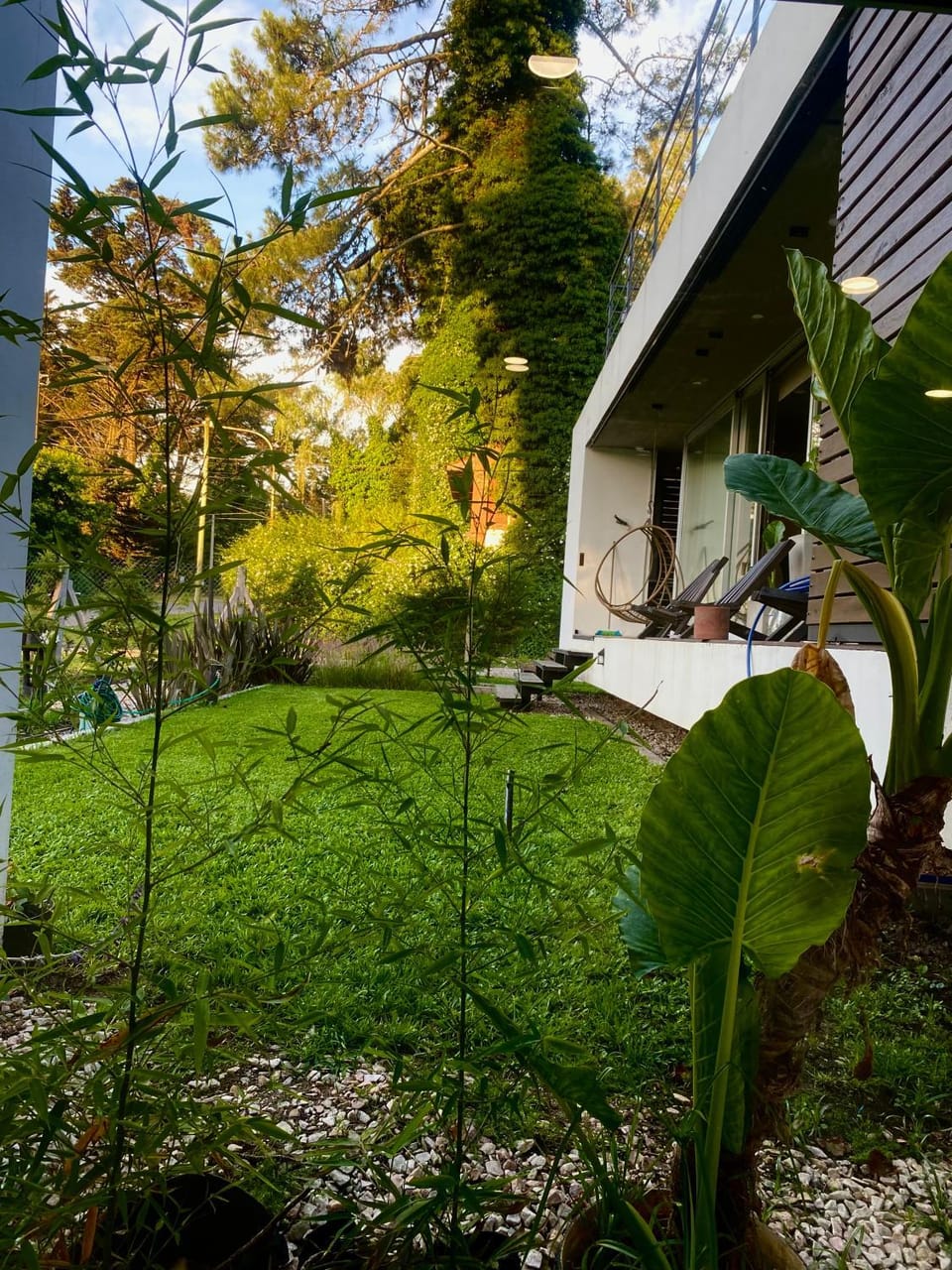 Garden view