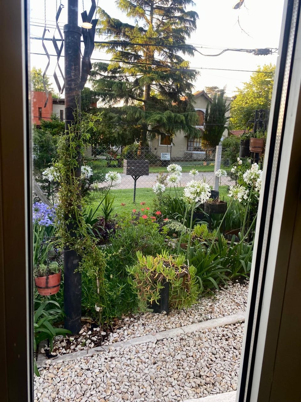 Garden view