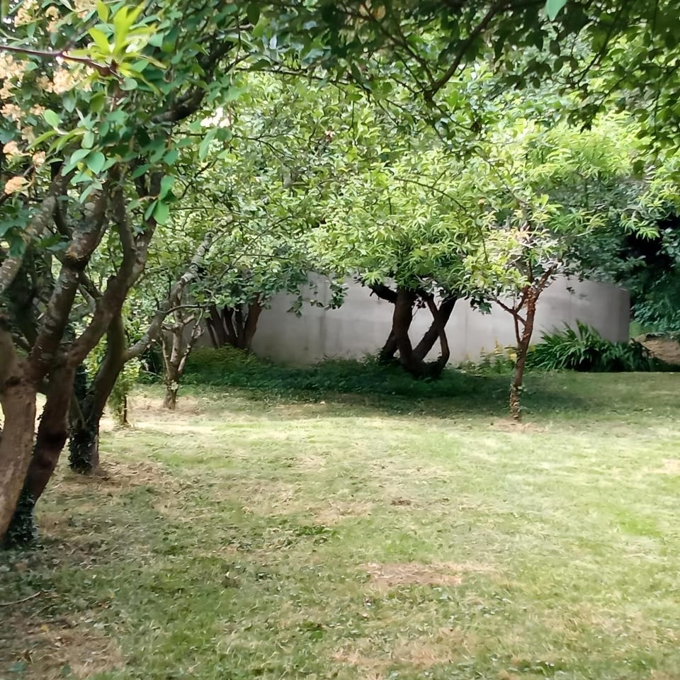 Natural landscape, Garden, Garden, Garden view, Garden view