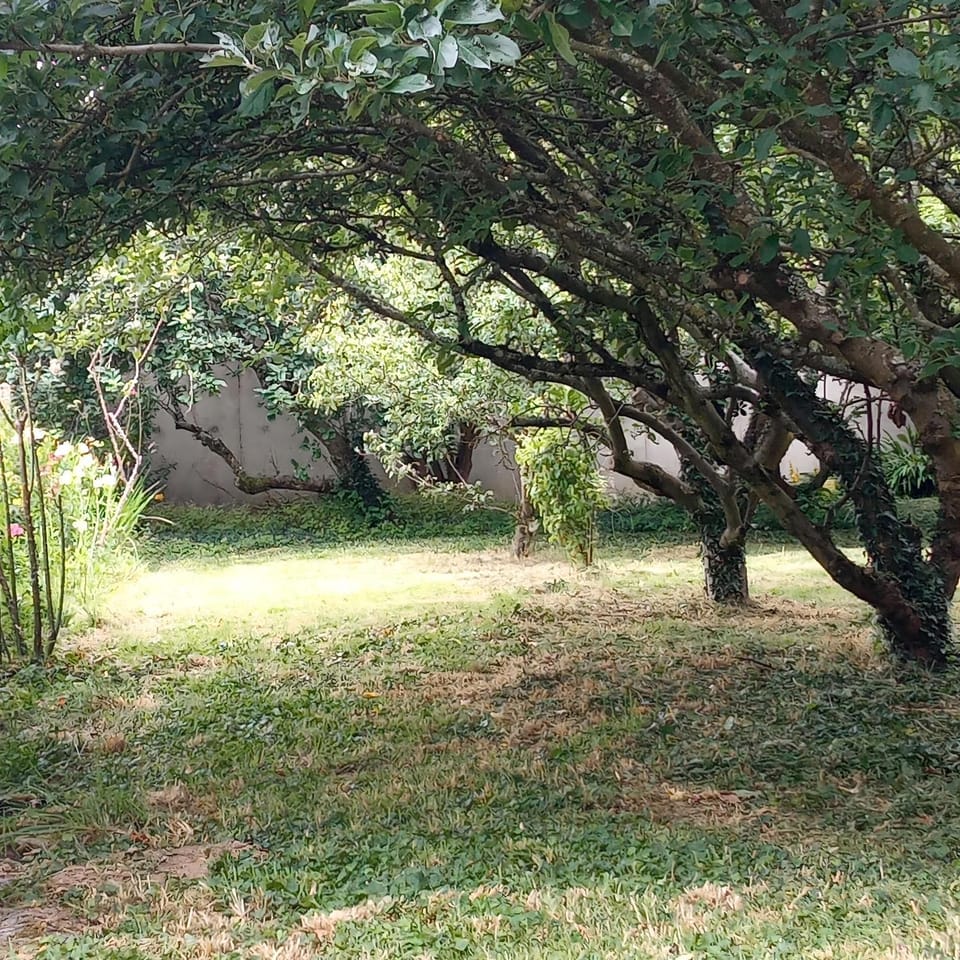 Natural landscape, Garden, Garden, Garden view, Garden view