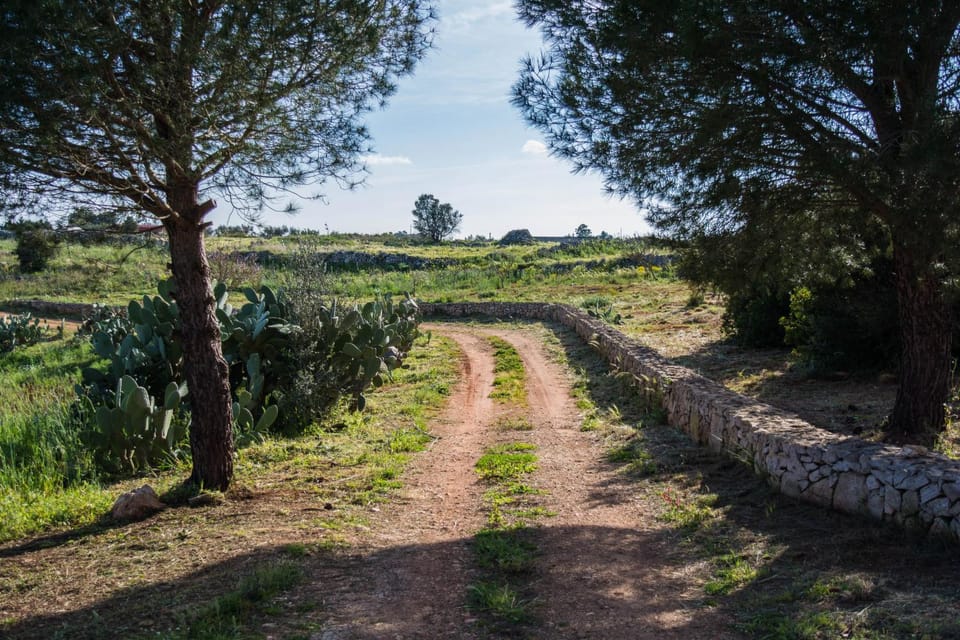 Sicalindeè Apartment in Apulia